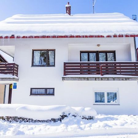 Apartman Japlenski Delnice Exterior photo